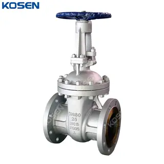 DIN 3352 Wedge Gate Valve, ASTM A216 WCB, DN150, PN25, BB