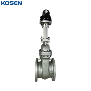 ASTM A351 CF8M Gate Valves, API 600, 10 Inches, CL150 LB, RF