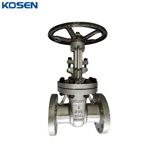 Stainless Steel Wedge Gate Valve, API 600, SS 904L, 3 IN, RF