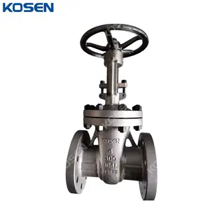 SS 904L Gate Valve, 4 Inch, 300 LB, Flexible Wedge, RF Ends