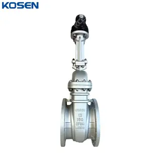 Flexible Wedge Gate Valves, ASTM A351 CF8M, 12 IN, CL150, RF