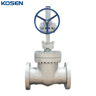API 600 Wedge Gate Valves, ASTM A216 WCB, 12 IN, 900 LB, RTJ