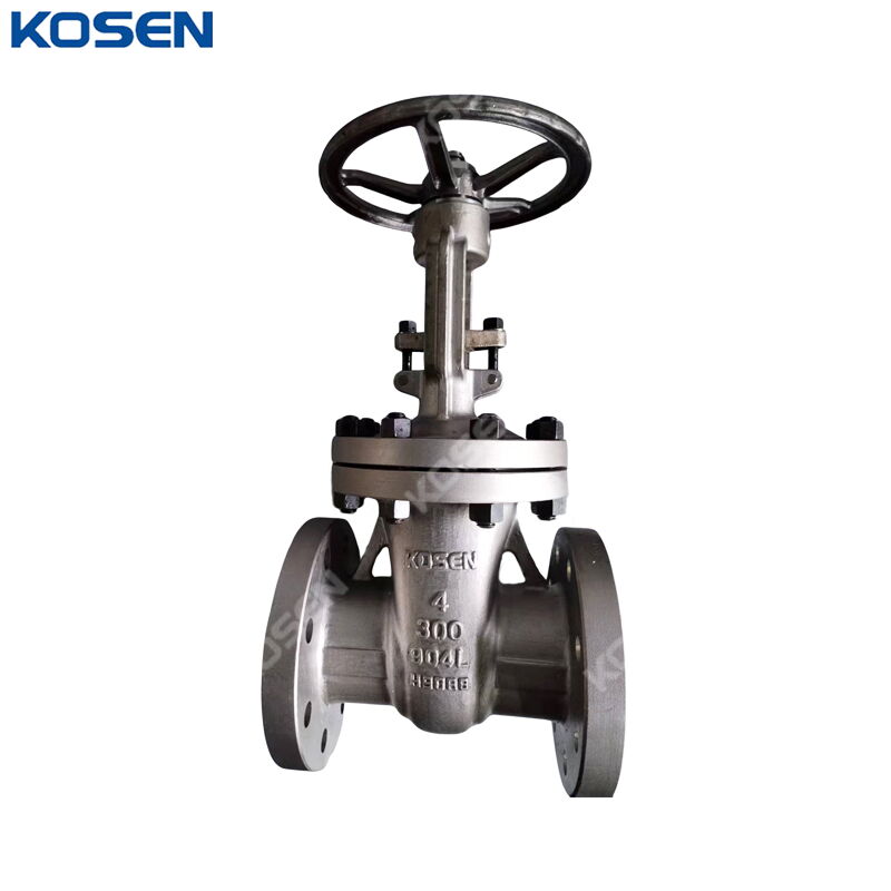 SS 904L Gate Valve, 4 Inch, 300 LB, Flexible Wedge, RF Ends