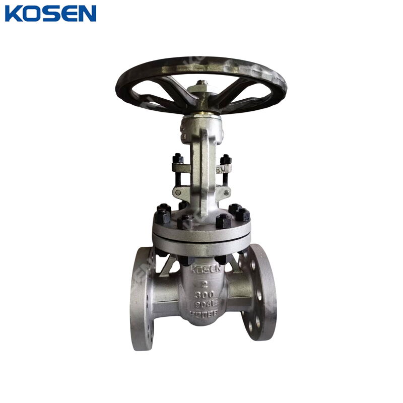 SS 904L Wedge Gate Valve, Stainless Steel, 2 Inch, CL300, RF