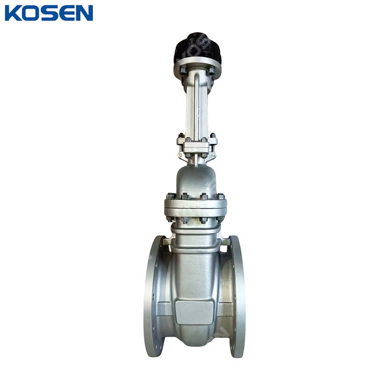 Stainless Steel Gate Valve, API 600, A351 CF8M, 12 IN, CL150