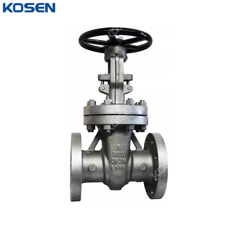 Stainless Steel Gate Valves, API 600, A351 CF3M, 3 IN, CL300