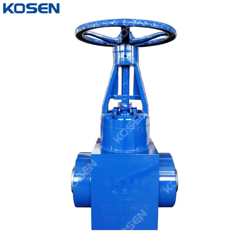 12Cr1MoV Wedge Gate Valve, API 600, DN125, PN420, BW, PSB