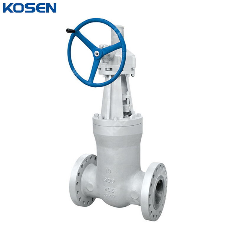 ASTM A217 WC6 Gate Valve, ASME B16.34, 10 Inch, 900 LB, PSB