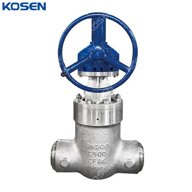 ASTM A351 CF8C Gate Valve, API 600, 16 IN, CL2500, PSB, BW