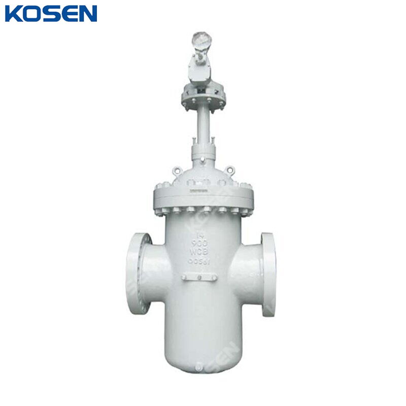 ASTM A216 WCB Slab Gate Valve, API 6D, 14 Inch, 900 LB, RTJ
