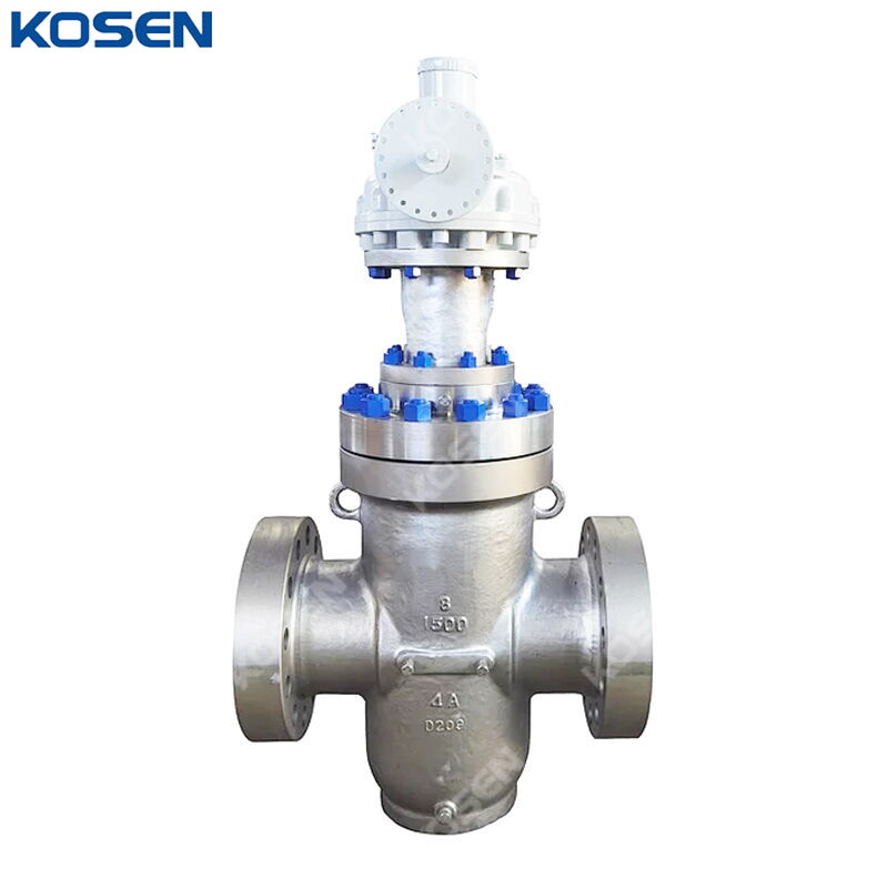 ASTM A995 4A Through Conduit Gate Valve, API 6D, 8 IN, CL1500