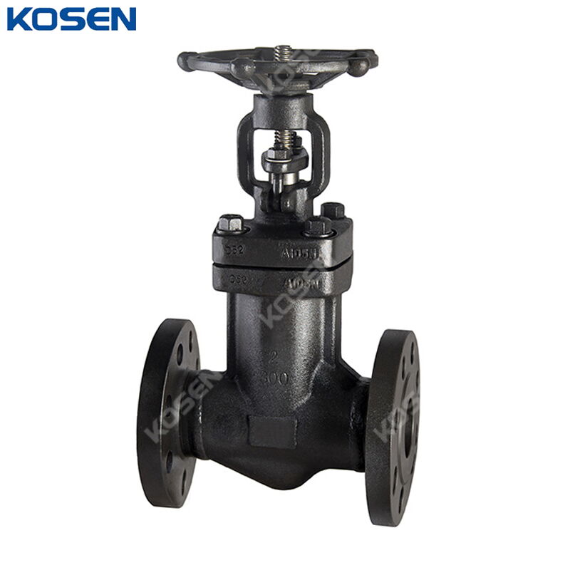 ASTM A105N Bellows Sealed Globe Valve, DIN 3356, 2 IN, CL300