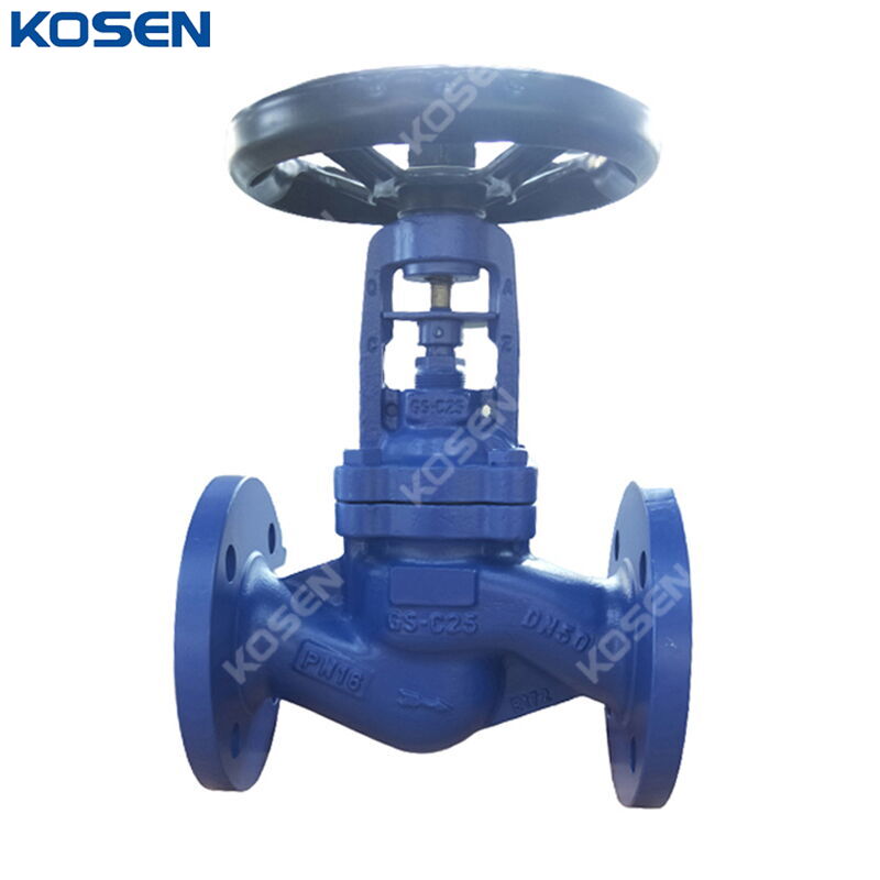 Bolted Bonnet Globe Valve, DIN 3356, GS-C25, PN16, DN50