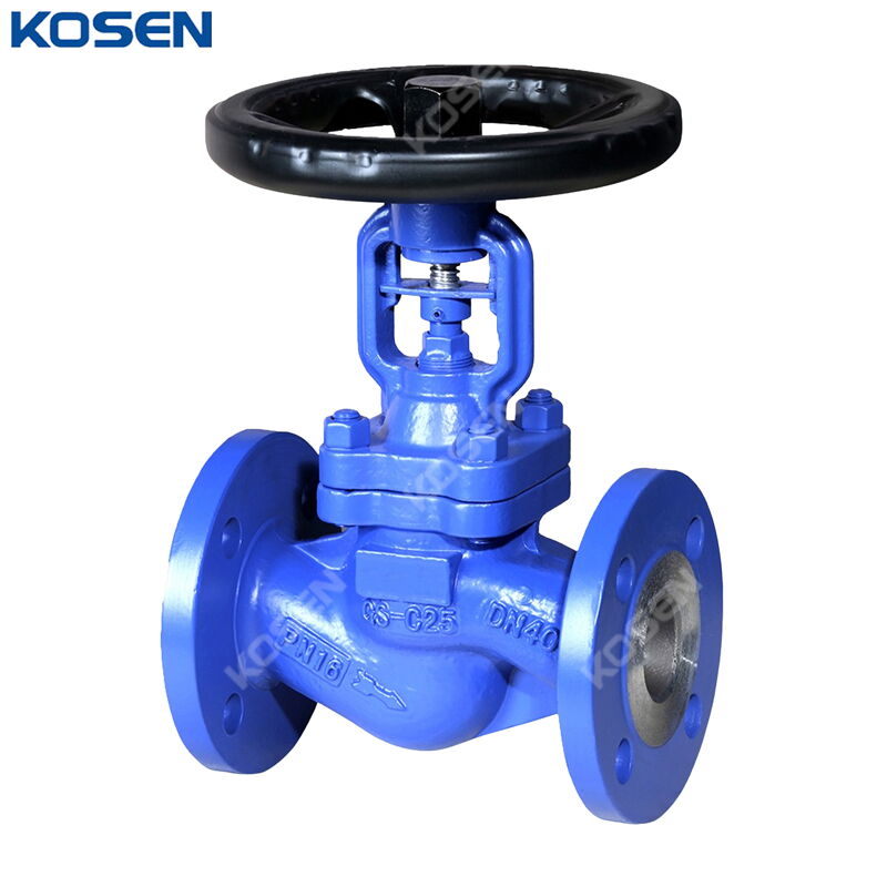 DIN 3356 Bellows Sealed Globe Valve, GS-C25, DN40, PN16, RF