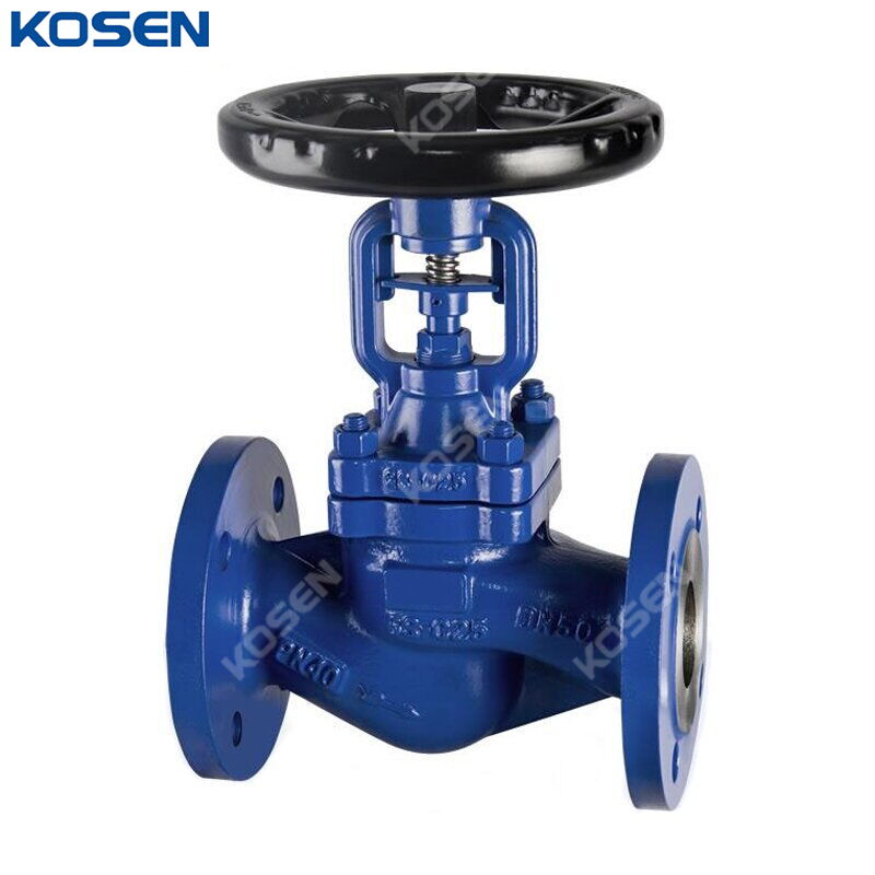 DIN 3356 Globe Valve, GS-C25, DN50, PN40, Bellows Sealed, RF