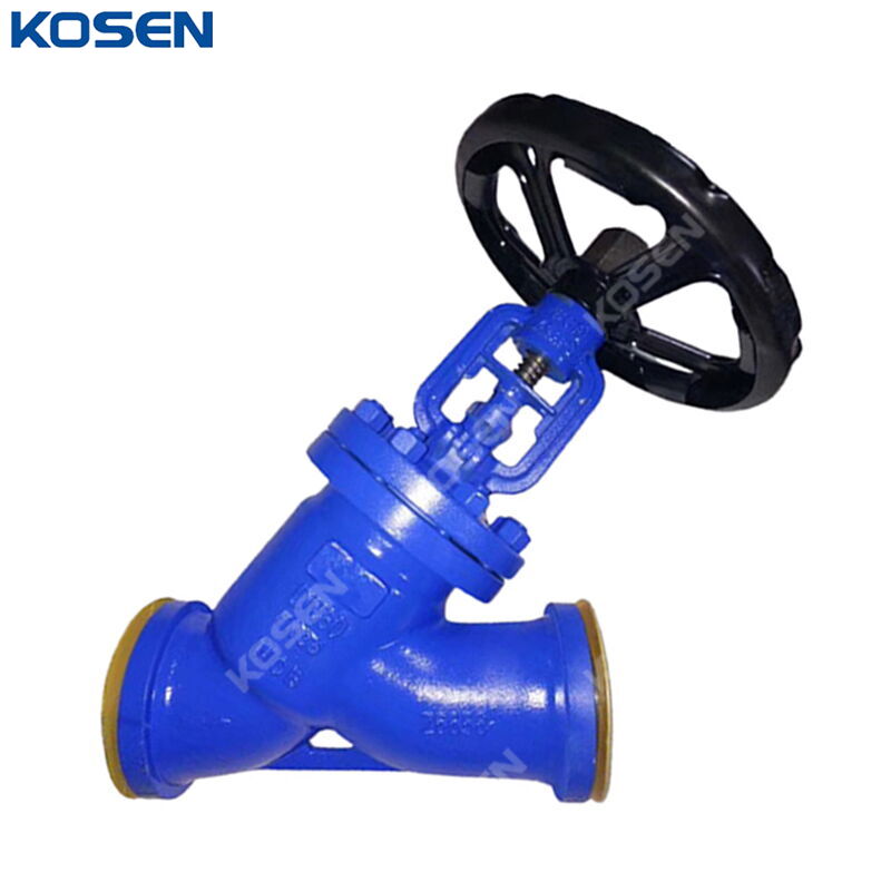 DIN 3356 Y Globe Valve, GS-C25, DN80, PN25, Bellows Sealed