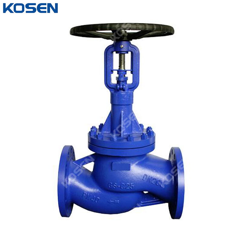 Extended Bonnet Globe Valve, DIN 3356, GS-C25, PN40, DN200