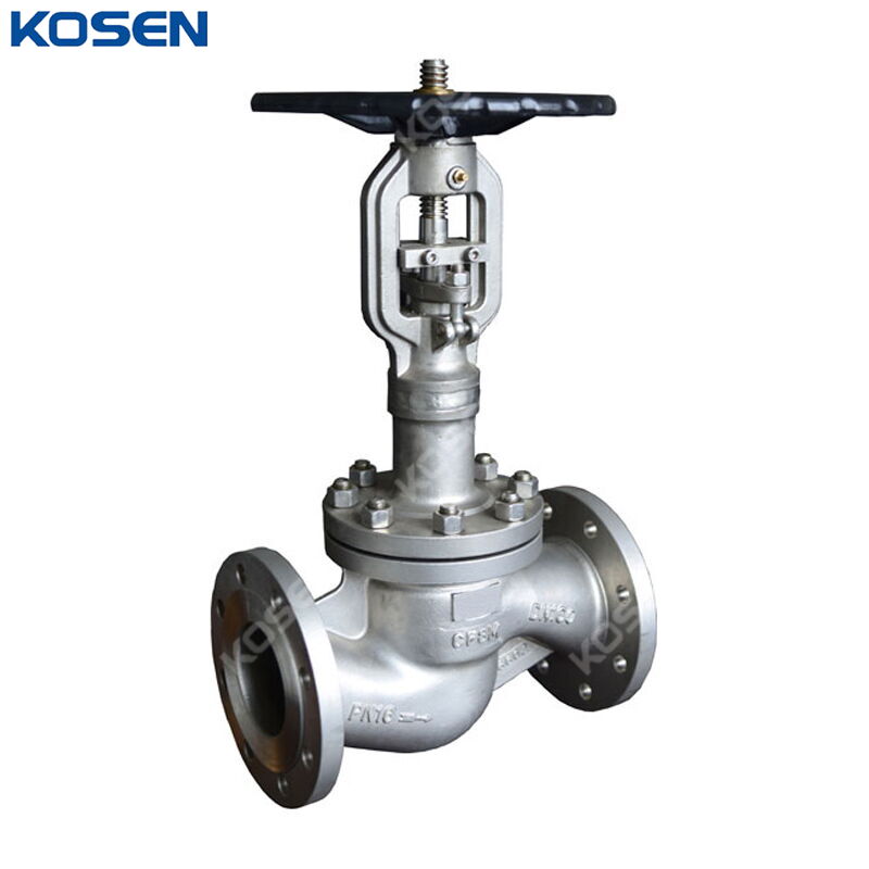Extended Stem Globe Valve, DIN 3356, A351 CF8M, DN100, PN16