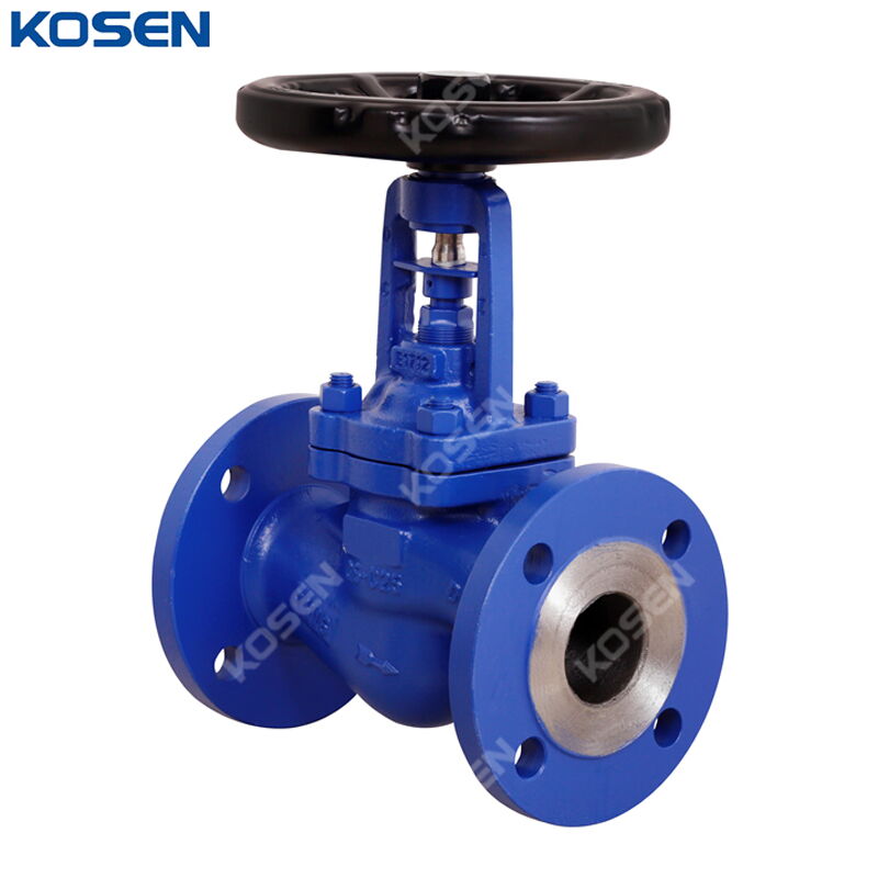 GS-C25 Bellows Sealed Globe Valve, DIN 3356, DN50, PN16, RF