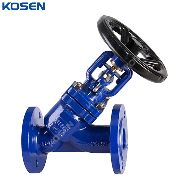 GS-C25 Y Type Globe Valve, DIN 3356, DN50, PN16, Bellow Seal