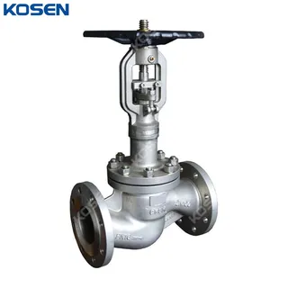 Extended Stem Globe Valve, DIN 3356, A351 CF8M, DN100, PN16