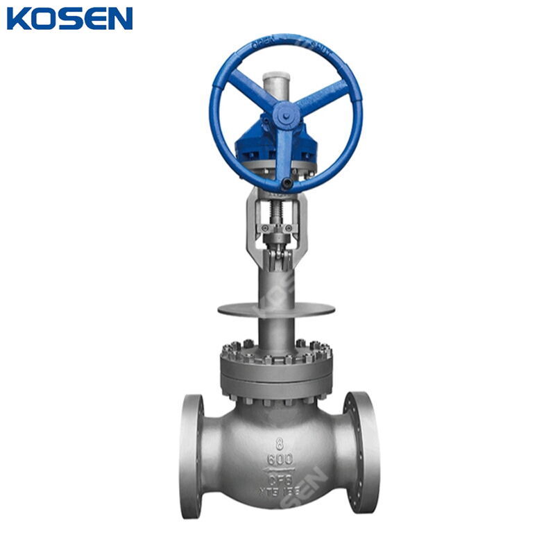 ASME B16.34 Cryogenic Globe Valve, A351 CF8, 8 Inch, 600 LB
