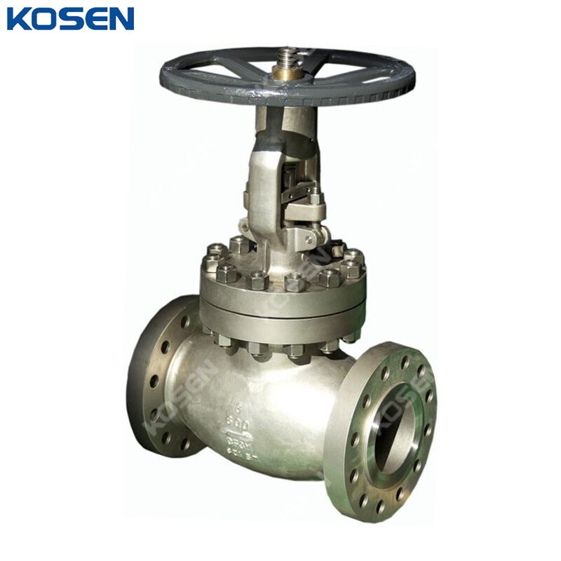 ASTM A351 CF3M Globe Valve, ASME B16.34, 6 Inch, 600 LB, RF