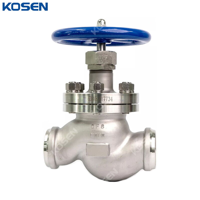 ASTM A351 CF8 Cryogenic Globe Valve, BS 1873, DN65, PN20, BW