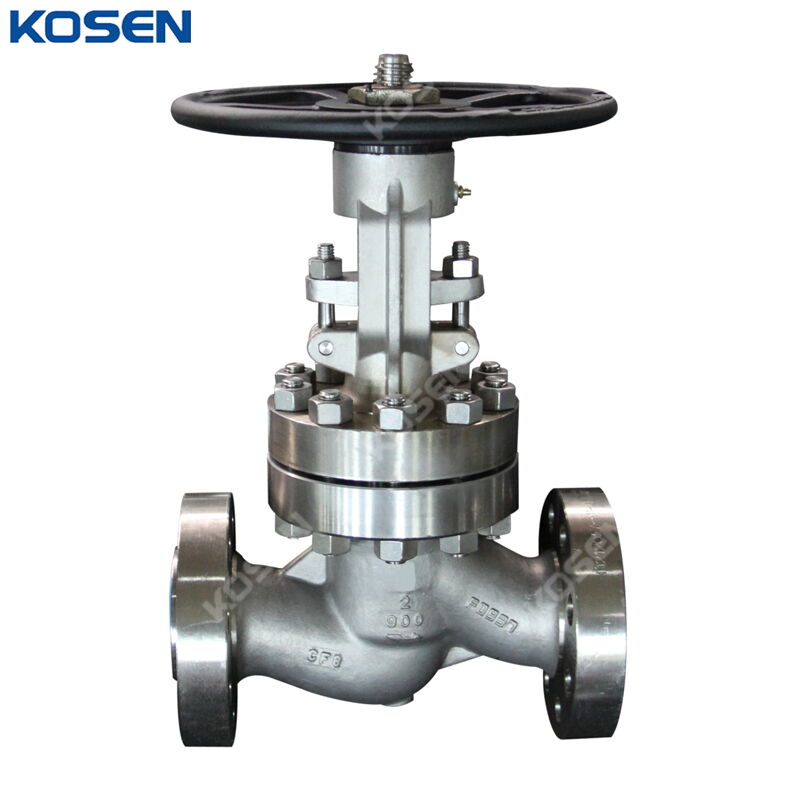 ASTM A351 CF8 Globe Valves, ASME B16.34, 2 Inch, CL900, RTJ