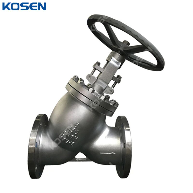 ASTM A351 CN7M Y Globe Valve, BS 1873, 6 Inch, CL150 LB, RF