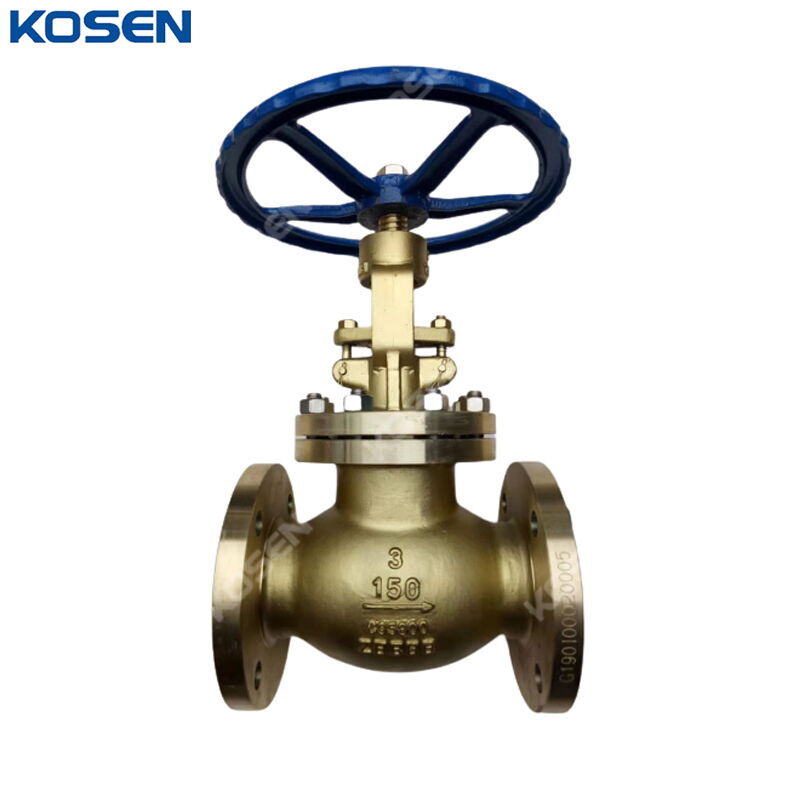 ASTM B148 C95800 Globe Valve, ASME B16.34, 3 Inch, CL150, RF