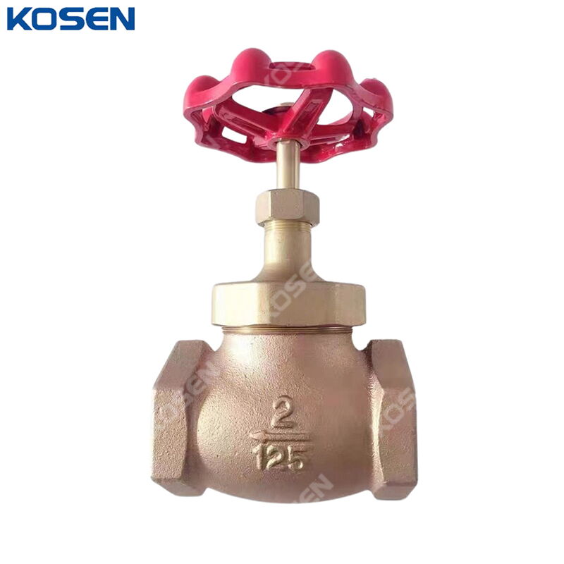 Bronze Globe Valve, MSS SP-80, BS 5154, 2 Inch, CL125, FNPT