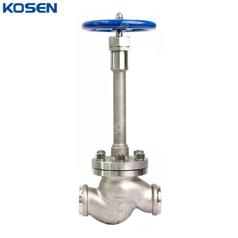 BS 1873 Cryogenic Globe Valve, ASTM A351 CF8, DN65, PN40, BW