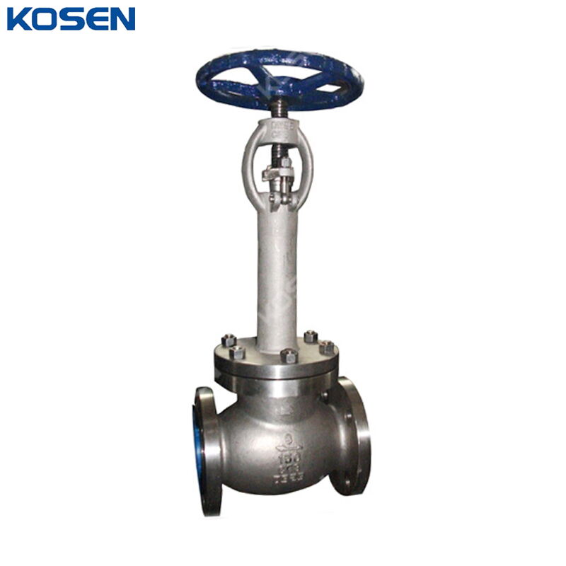 Extended Bonnet Globe Valves, ASME B16.34, CF8, 6 IN, 150 LB