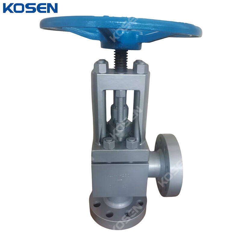 High Pressure Angle Globe Valve, DIN 3356, A105, DN50, PN250