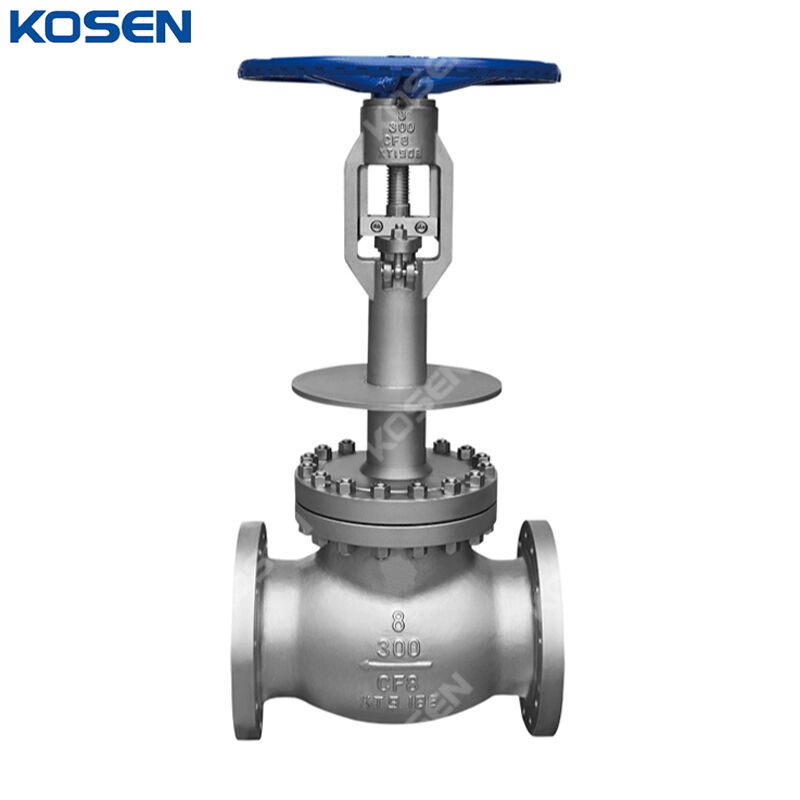 Low Temperature Globe Valve, BS 1873, A351 CF8, 8 IN, CL300