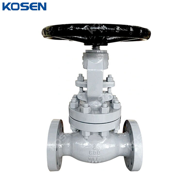 Reduced Port Globe Valve, BS 1873, A216 WCB, 2 IN, 600 LB, RF