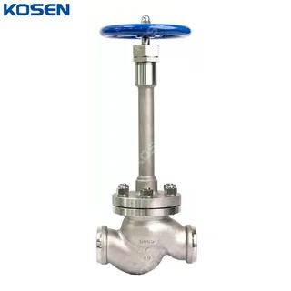 BS 1873 Cryogenic Globe Valve, ASTM A351 CF8, DN65, PN40, BW