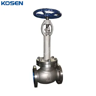 Extended Bonnet Globe Valves, ASME B16.34, CF8, 6 IN, 150 LB