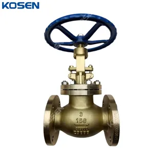 ASTM B148 C95800 Globe Valve, ASME B16.34, 3 Inch, CL150, RF