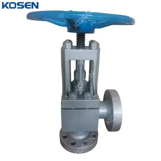 High Pressure Angle Globe Valve, DIN 3356, A105, DN50, PN250