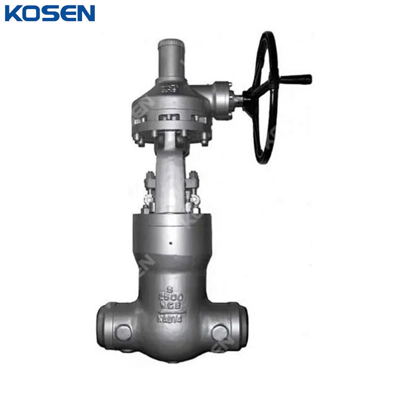 ASTM A216 WCB Globe Valve, BS 1873, 5 Inch, 2500 LB, PSB, BW
