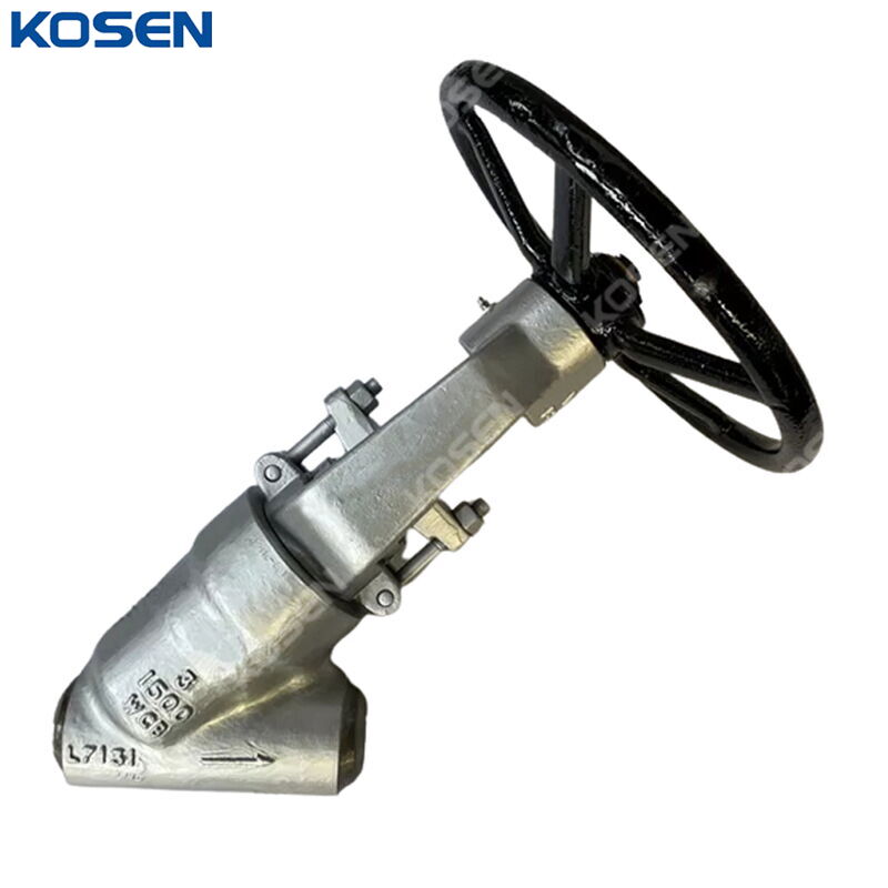 ASTM A216 WCB Y Globe Valve, BS 1873, 3 IN, CL1500, PSB, BW