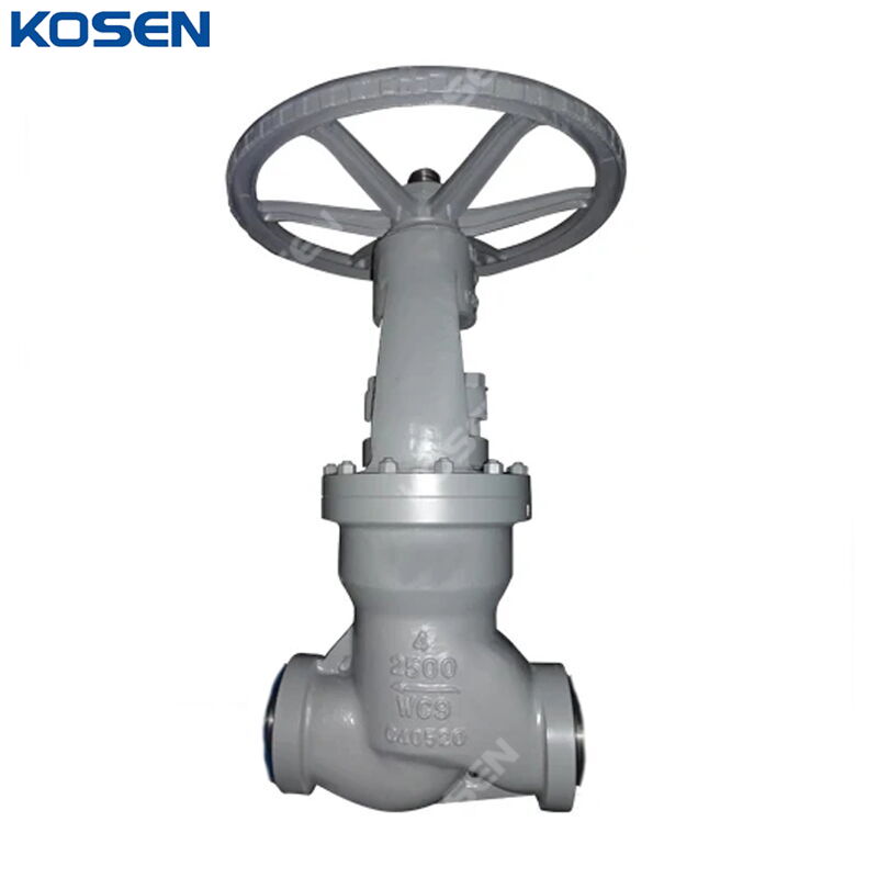 Pressure Seal Bonnet Globe Valve, BS 1873, A217 WC9, 4 Inch