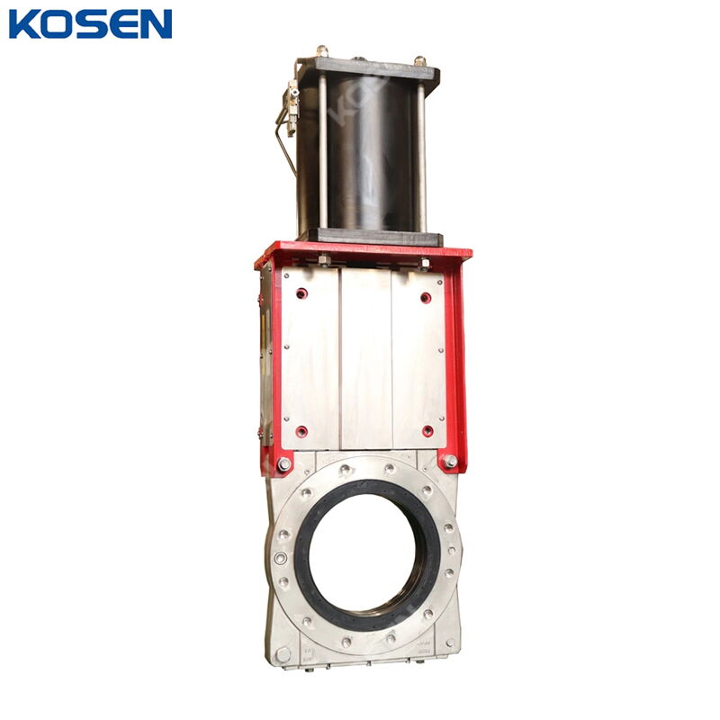 Stainless Steel Knife Gate Valve, A351 CF8M, 12 Inch, CL150