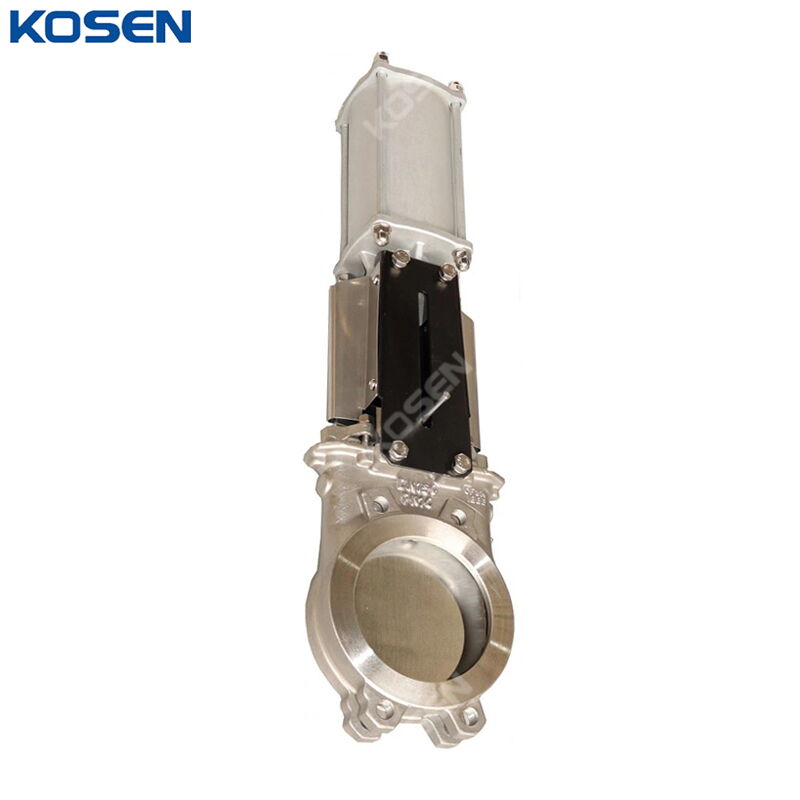 Stainless Steel Knife Gate Valves, A351 CF8M, DN50, 2 Inches