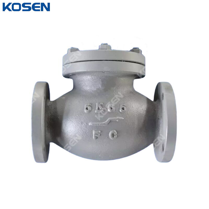 JIS F7358 Lift Check Globe Valve, FC200, 65A, 2-1/2 IN, 5K
