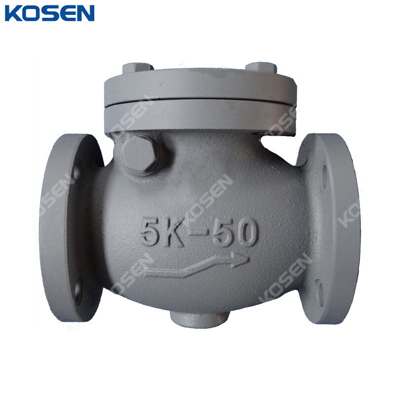 JIS F7373 Swing Check Valve, FC200, 50A, 2 Inch, 5K, Flanged