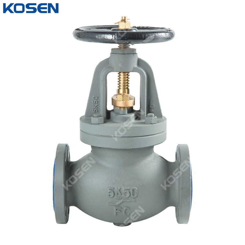 Cast Iron FC200 Globe Valve, JIS F7305, 50A, 5K, 2 IN, FF