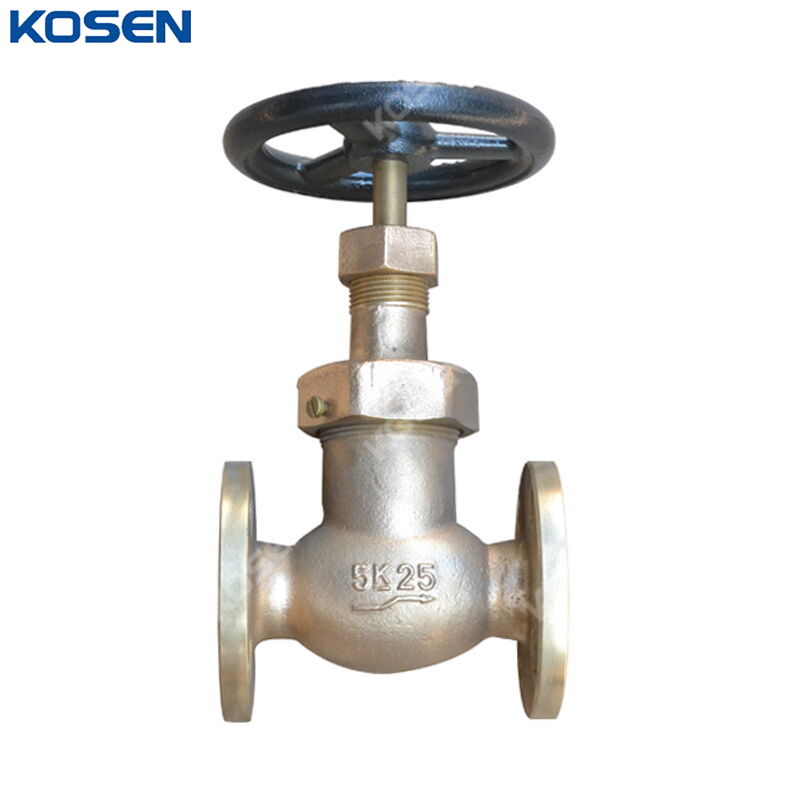 JIS 7346 Globe Valve, Cast Bronze BC6, 25A, 5K, 1 Inch, FF